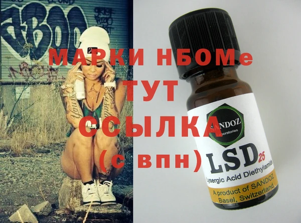гашик Алексин