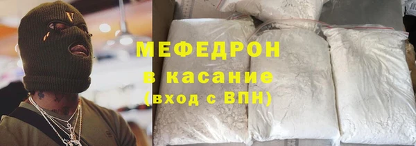 индика Осинники
