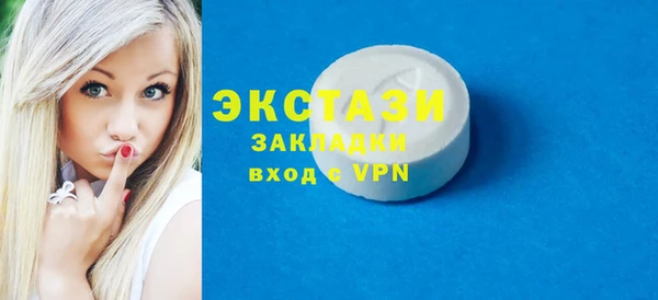 гашик Алексин