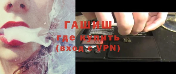 гашик Алексин