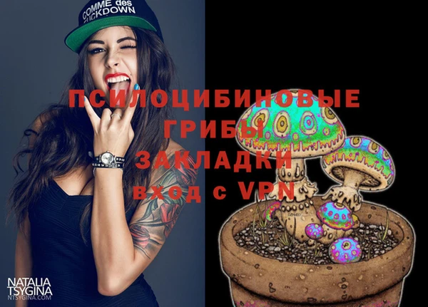 ECSTASY Алзамай