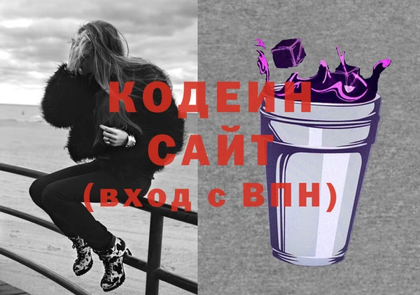 ECSTASY Алзамай