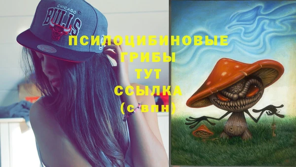 mix Алексеевка