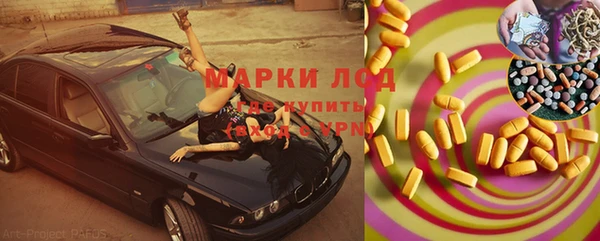ECSTASY Алзамай