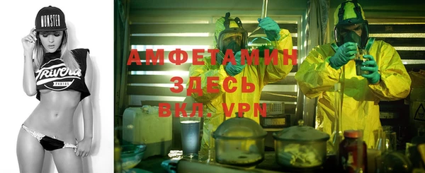 ECSTASY Алзамай