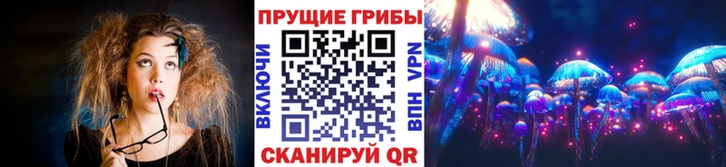 продажа наркотиков Липки Псилоцибиновые грибы Psilocybe
